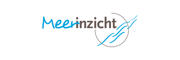 Meerinzicht